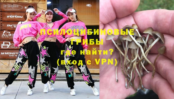 ПСИЛОЦИБИНОВЫЕ ГРИБЫ Балабаново